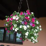Agriturismo Le Giare