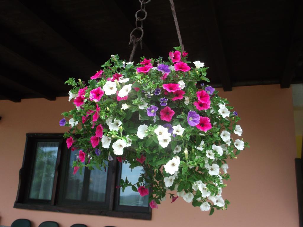 Le Giare Estadia no rancho Génova